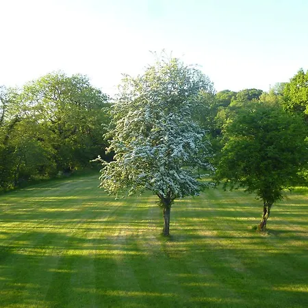 Newmoor Park Guest house 4*