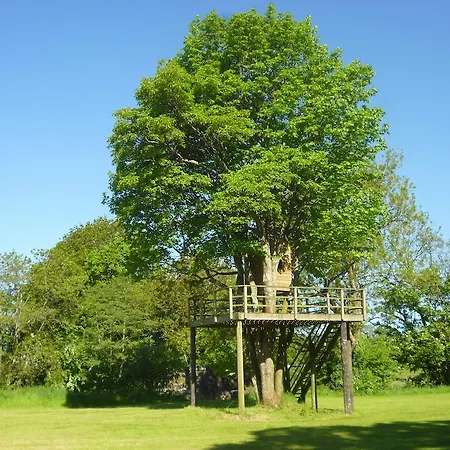 Guest house Newmoor Park Launceston