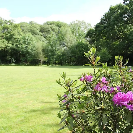 Newmoor Park
