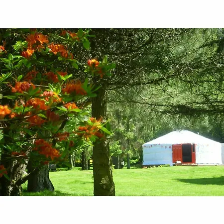 Guest house Newmoor Park Launceston