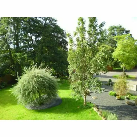 Newmoor Park 4*